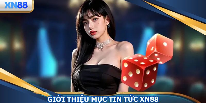 Chuyên mục tin tức XN88 vô cùng quan trọng tại nhà cái
