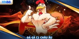 Đá Gà C1 Châu Âu - Sân Chơi Chất Lượng Có Một Không Hai
