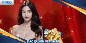 Đặc Quyền VIP XN88 - Cơ Chế Thưởng Hội Viên Thân Thiết