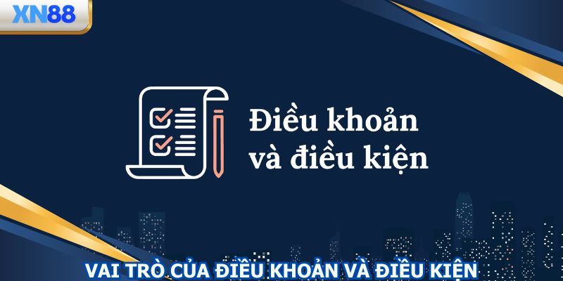 Điều khoản và điều kiện bao gồm nhiều quy định cần thiết