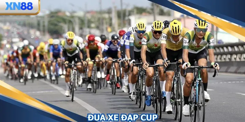 Giới Thiệu Tất Tần Tật Về Loại Hình Đua Xe Đạp Cup Tại XN88