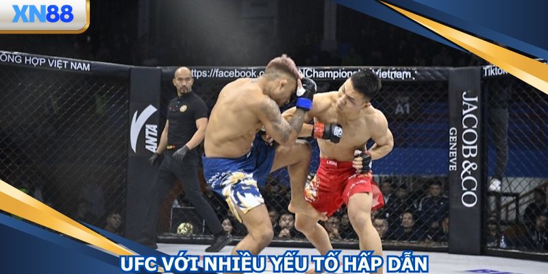 Giải thi đấu UFC hội tụ nhiều yếu tố cực hấp dẫn