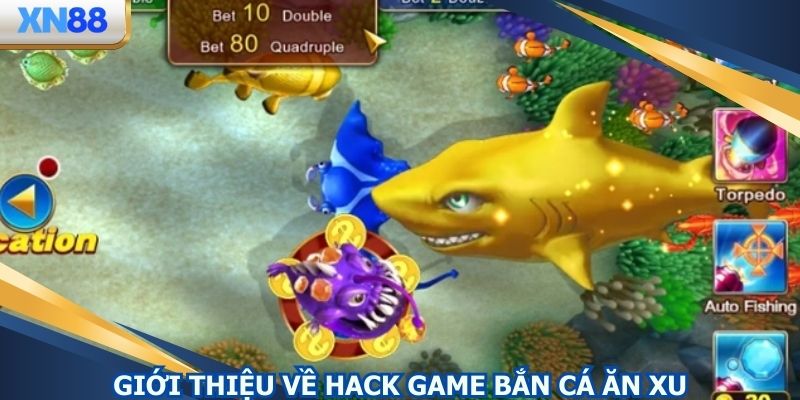 Giới thiệu về hack bắn cá ăn xu