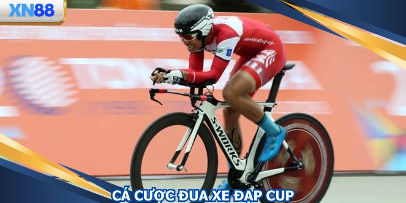 Khái quát về cá cược đua xe đạp cup