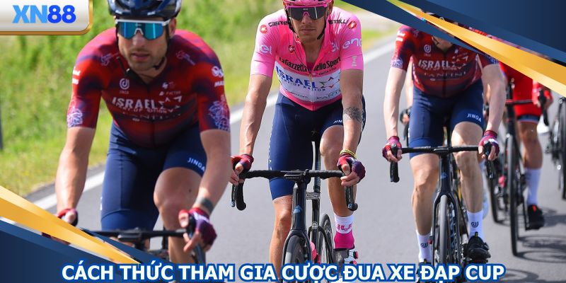 Luật cá độ đua xe đạp cup
