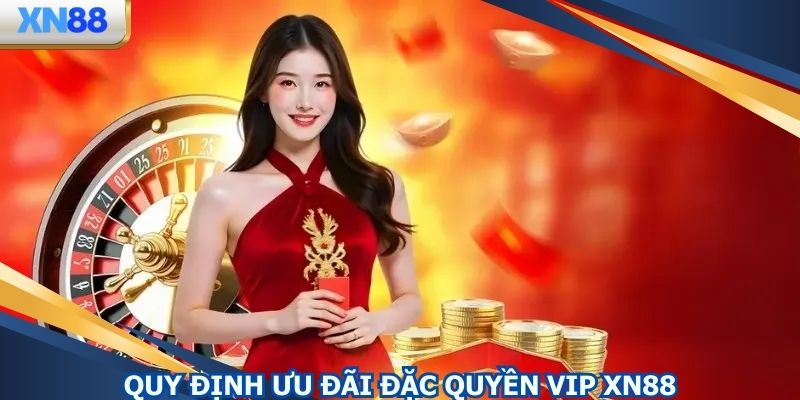 Quy định liên quan đến đặc quyền VIP XN88