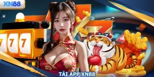Tải App XN88 - Giải Trí Trọn Vẹn Trên IOS & Android