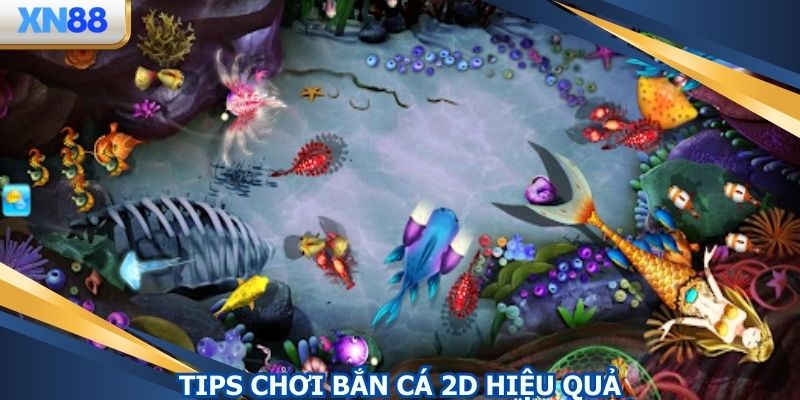 Tips chơi giúp bạn dễ dành chiến thắng