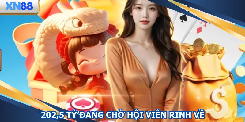 Khuyến mãi XN88 khủng 202,5 tỷ đang chờ hội viên rinh về