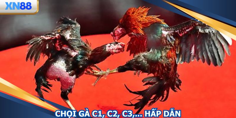 Tuỳ vào hạng mục có sự kịch tính riêng